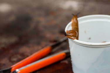 Similar image 21514142