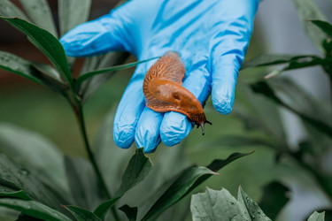 Similar image 21514147