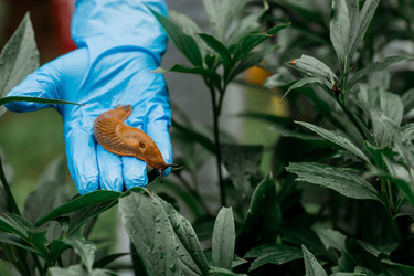 Similar image 21514148