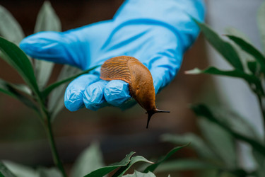 Similar image 21514149