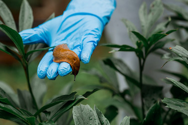 Similar image 21514150