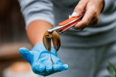 Similar image 21514151