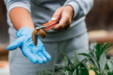 Similar image 21514155