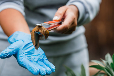 Similar image 21514156