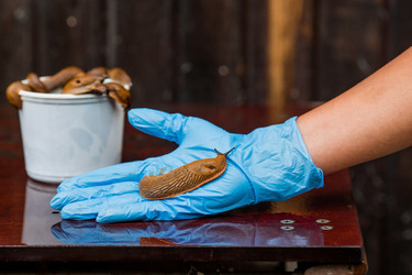 Similar image 21514158