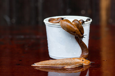 Similar image 21514159