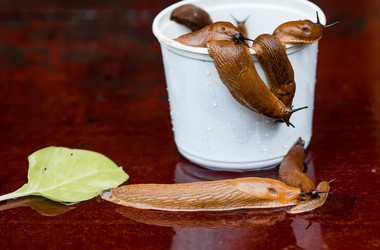 Similar image 21514160