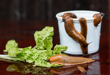 Similar image 21514162