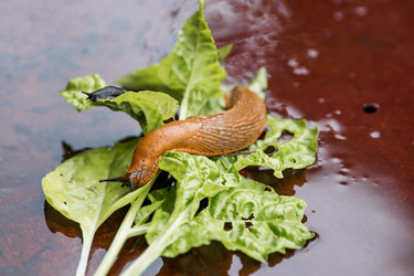 Similar image 21514163