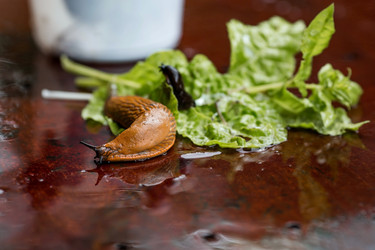 Similar image 21514164