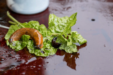 Similar image 21514166