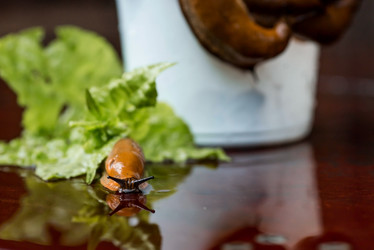 Similar image 21514167