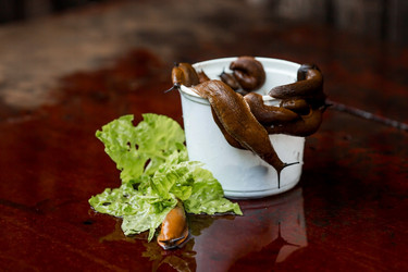 Similar image 21514168