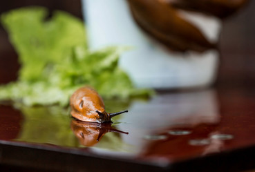 Similar image 21514169