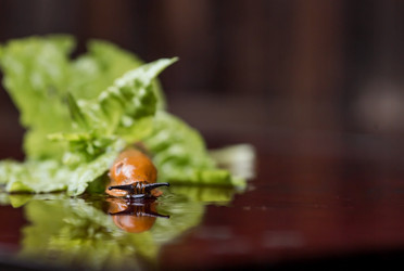 Similar image 21514170