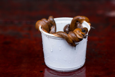 Similar image 21514171