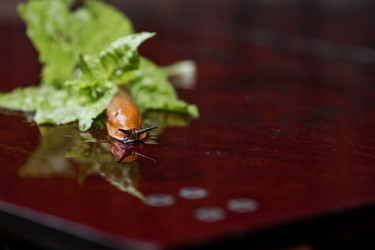 Similar image 21514172