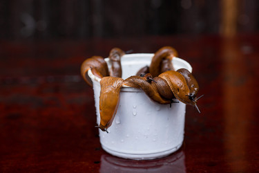 Similar image 21514173