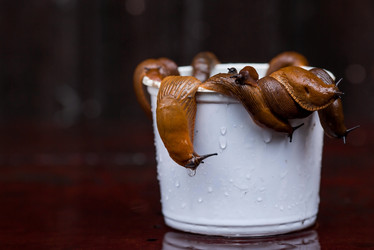 Similar image 21514174