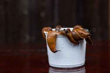 Similar image 21514175