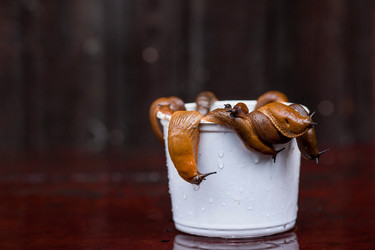 Similar image 21514176