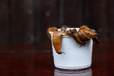 Similar image 21514177