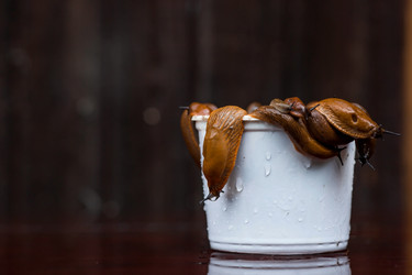 Similar image 21514179