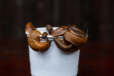 Similar image 21514183