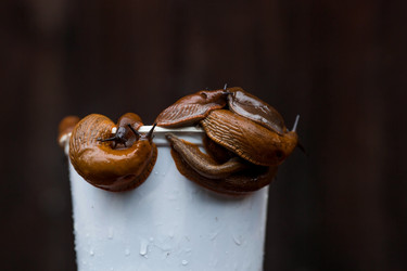 Similar image 21514185