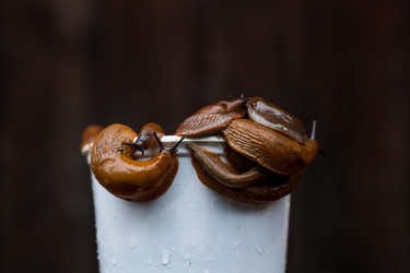 Similar image 21514186