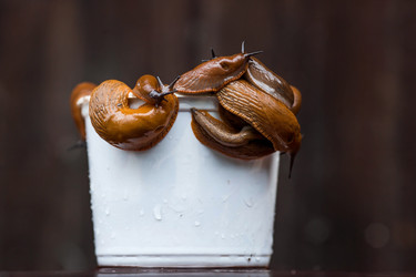 Similar image 21514187