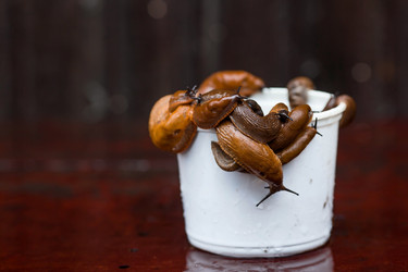 Similar image 21514188