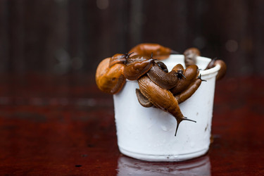 Similar image 21514189