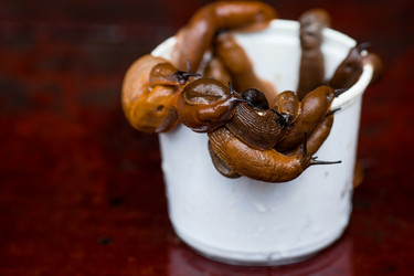 Similar image 21514190