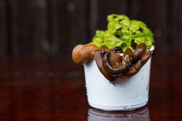 Similar image 21514191