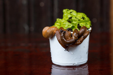 Similar image 21514193