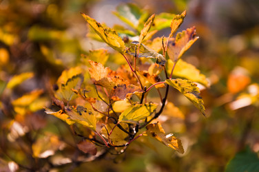 Similar image 21514212