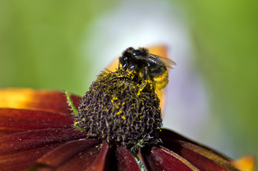 Similar image 21514214