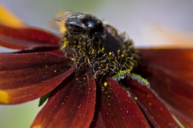 Similar image 21514215