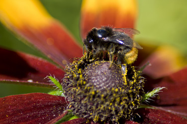 Similar image 21514216