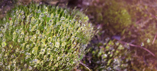 Similar image 21514284