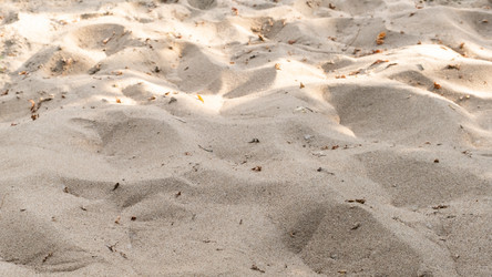 Similar image 21513977