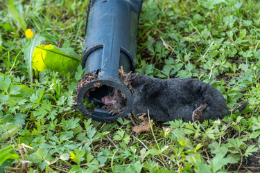 Similar image 21513978