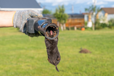 Similar image 21513979