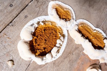 Similar image 21513982