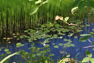 Similar image 21514300