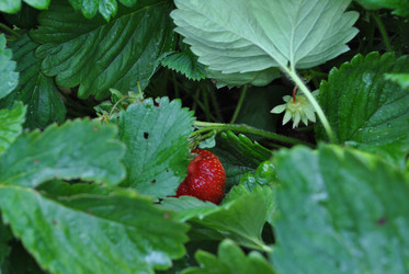 Similar image 21514301