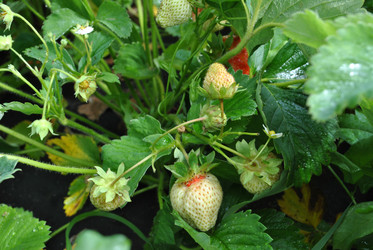 Similar image 21514302