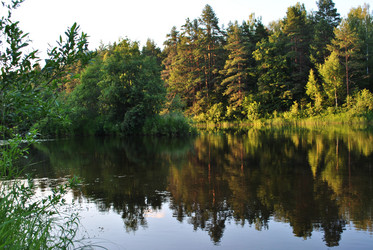 Similar image 21514303