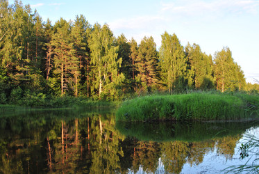 Similar image 21514304